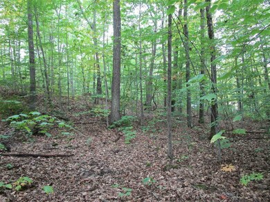 0 Colonial Rd unit 17 4886048, Laconia, NH 03246 - photo 4