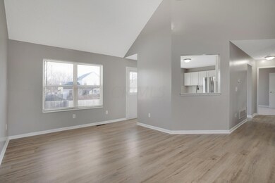 08_DSC00011_mls