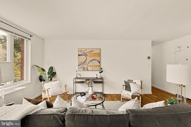 The Beecher House unit 502, Washington, DC 20007 - photo 5