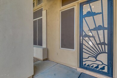 Front security door