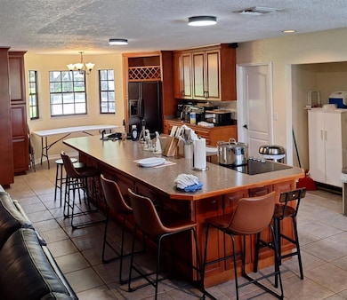 10012 Lake Louisa Rd, Clermont, FL 34711 - photo 4