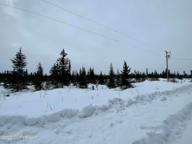 65687 Tomski Ave, Anchor Point, AK 99556 - photo 2