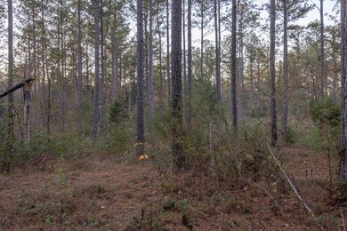 Tbd Barr Chapel Rd, Edgefield, SC 29824 - photo 7