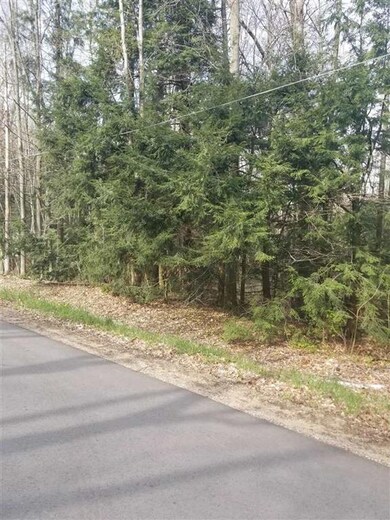 TBD Hemlock Ave, Bay Shore, MI 49720 - photo 3