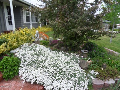 Frontyard