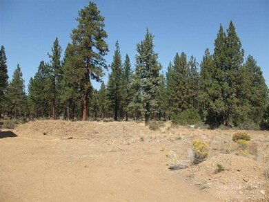 462 N Village Meadows Rd, Sisters, OR 97759 - photo 4