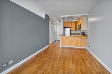 450 W Briar Place unit 4L, Chicago, IL 60657 - photo 6