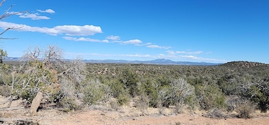 Lot 50 Scorpion, Ash Fork, AZ 86320 - photo 7