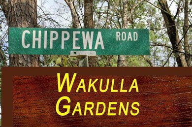 0 Chippewa Rd unit 278477, Crawfordville, FL 32327 - photo 5