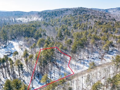 23 Bickford Pond Rd, Porter, ME 04068 - photo 2