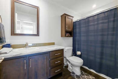 Bathroom with crown molding, curtained shower, dark wood-type flooring, and vanity