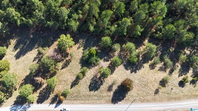 761 County Road 31, Hanceville, AL 35077 - photo 7