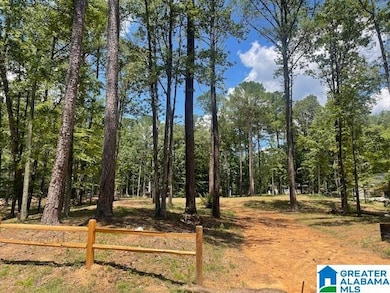 63 Hodgens Rd unit 3, Chelsea, AL 35043 - photo 4