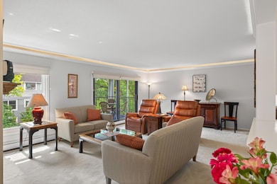 3020 Saint Albans Mill Rd unit 303, Minnetonka, MN 55305 - photo 5