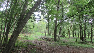 43 Handel Rd, Stafford, CT 06076 - photo 6