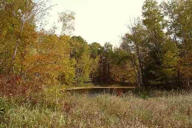 0 Crescent Rd unit 1757769, Byron, WI 54666 - photo 6