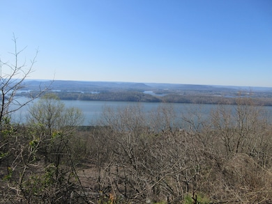 0 Scenic Dr unit 19785816, Section, AL 35771 - photo 7