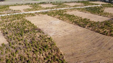 4 S Carolina 6, Cross, SC 29436 - photo 7