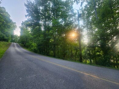 1014 Tanya Dr, Whitwell, TN 37397 - photo 2