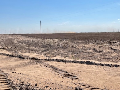 6808 E Fm 1585, Ropesville, TX 79358 - photo 4