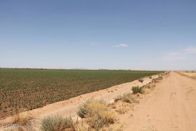 0 E Milligan Rd unit 6038735, Eloy, AZ 85131 - photo 6