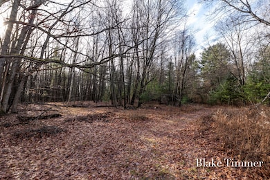 0 E 88th St unit 25061606, Newaygo, MI 49337 - photo 2