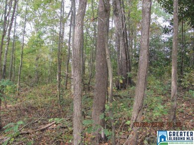 Lot has a gentle slope to the lake...no stairs to 