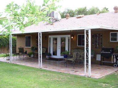 back Patio 5