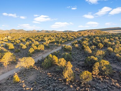 DJI_0018