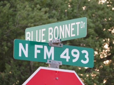 00 Blue Bonnet Dr, Donna, TX 78537 - photo 2