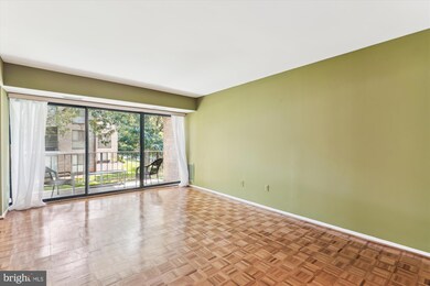 2032 Royal Fern Ct unit 11A, Reston, VA 20191 - photo 7