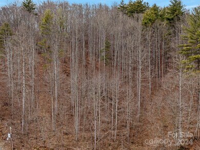 Lot 5 Fox Creek Rd, Burnsville, NC 28714 - photo 7