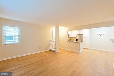 11701 Karbon Hill Ct unit 509A, Reston, VA 20191 - photo 7