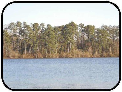 150 Masonite Lake Rd, Laurel, MS 39443 - photo 2