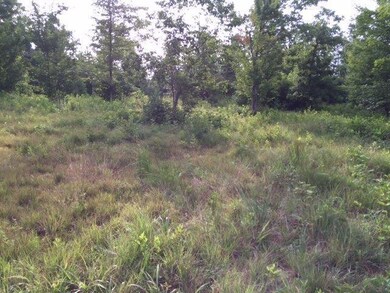 2969 Piney Grove Rd, Somerset, KY 42501 - photo 7