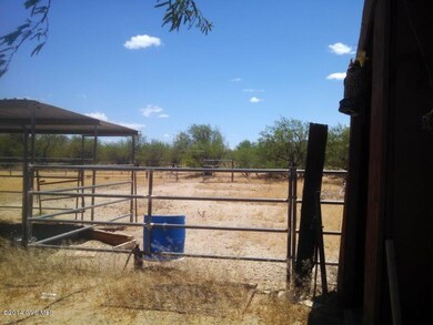 Pasture