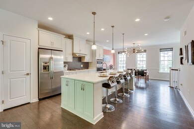 25031 Cambridge Hill Terrace, Chantilly, VA 20152 - photo 4