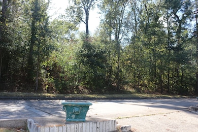 TBD Lake Oaks Blvd, Coldspring, TX 77331 - photo 3