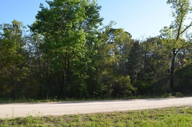 000 Fiddler's Way, Keaton Beach, FL 32348 - photo 6