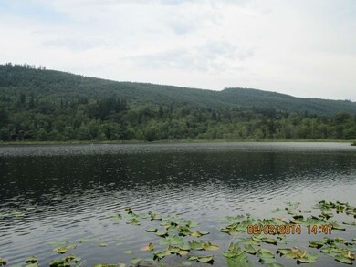 20947 Lake Sixteen Rd, Mount Vernon, WA 98274 - photo 7