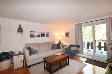 12-16 Ellery St unit 205, Cambridge, MA 02138 - photo 7