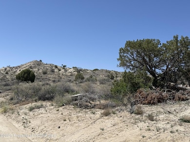 XX Cemetery Rd, Bloomfield, NM 87413 - photo 4