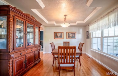 1004 Kodiak Ct, Wentzville, MO 63385 - photo 4