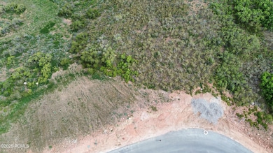 dji_fly_20250528_160838_150_174847123402