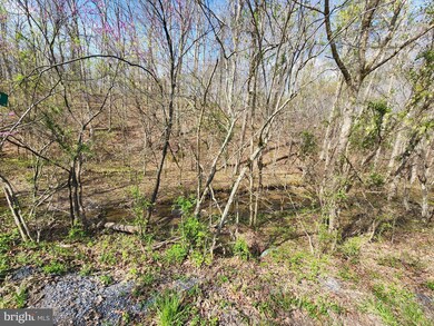 0 Bowman Hollow Rd unit VAWR2002970, North River, VA 22655 - photo 2