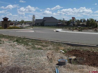 Lot 9 Kaleigh Cir, Cortez, CO 81321 - photo 5