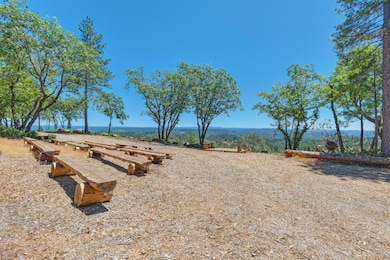 17200 Mountain View Dr, Applegate, CA 95703 - photo 6