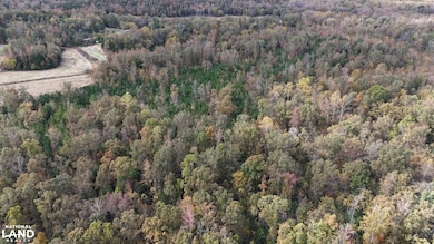 1200 Sand Ridge Rd, Lexington, TN 38351 - photo 6