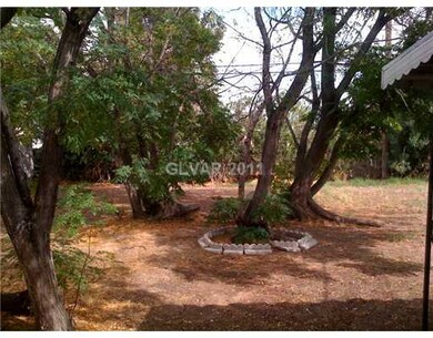Yard/Garden.