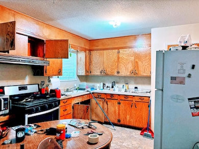 Reagan home kitchen 3